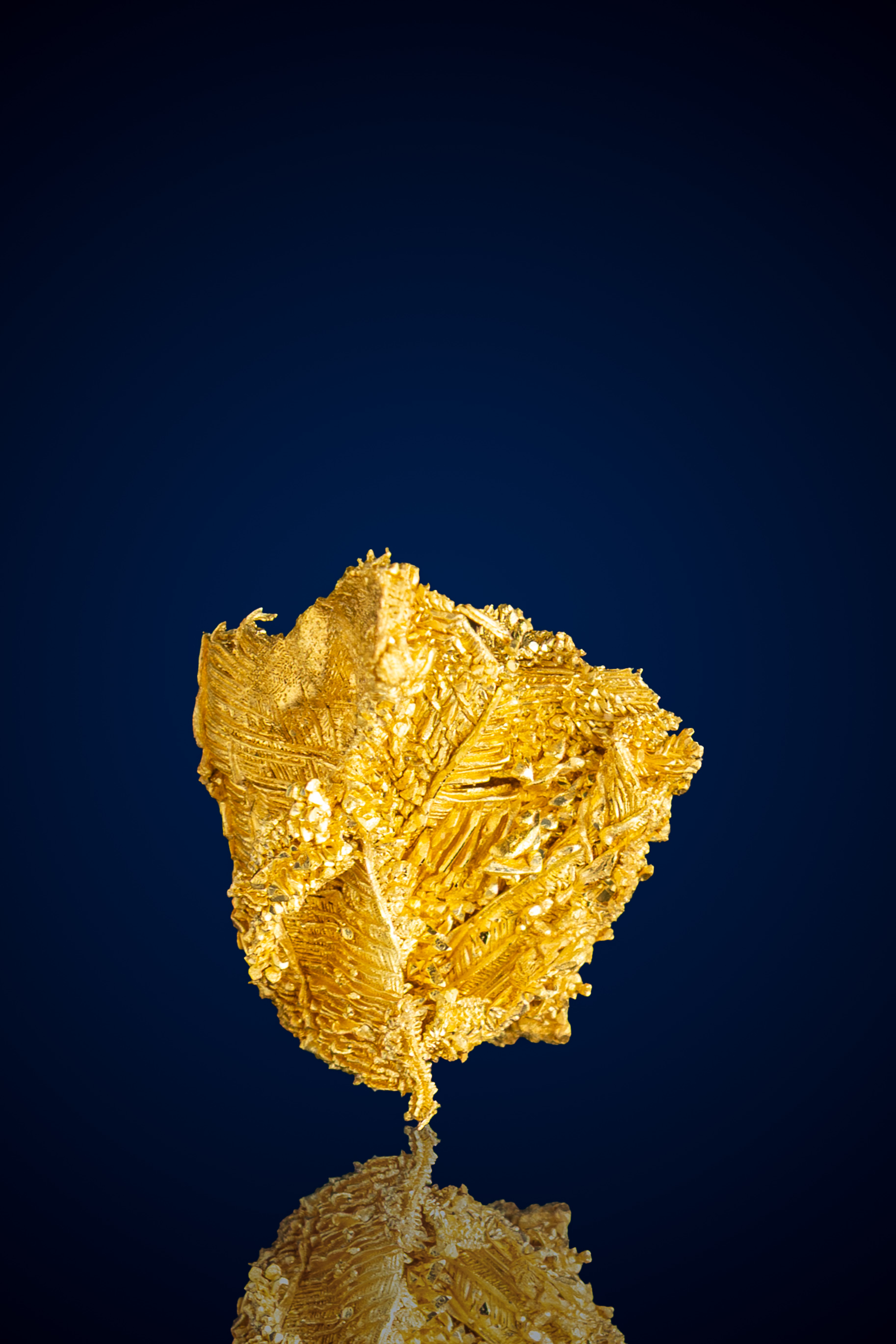 (image for) Sparkling, Ribbed Crystallized Gold Nugget - Round Mountain, NV - 1.84 grams